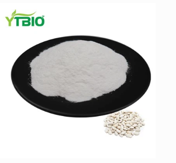 White Kidney Bean Extract Powder